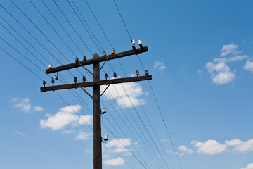 telgraph pole