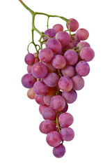 grapes isolated on white background