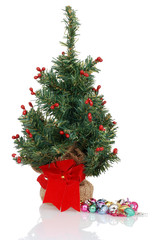 Christmas tree ready to be decorated