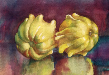 Watercolor Flora Collection: Pumpkins