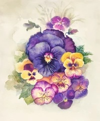 Photo sur Aluminium Pansies Watercolor Flora Collection: Viola Tricolor