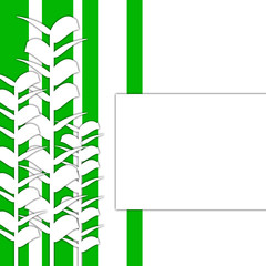 Pflanze - weisses Schild