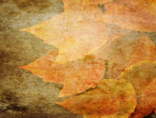 Autumn Grunge Background