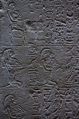 Egyptian hieroglyphics