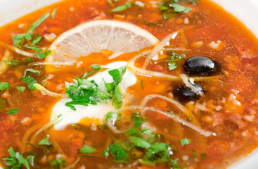 thick soup of vegetables and meat - solanka
