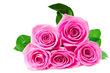 bouquet of beautiful pink roses