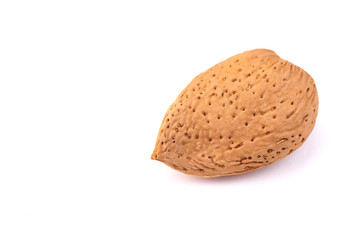 Almond in shell