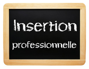 Obraz premium Insertion professionelle