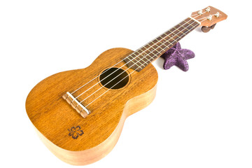 Plakat vintage ukulele