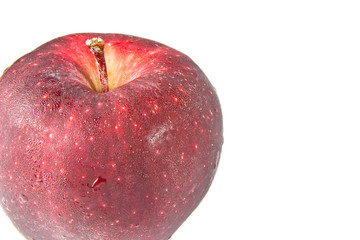 fresh red apple