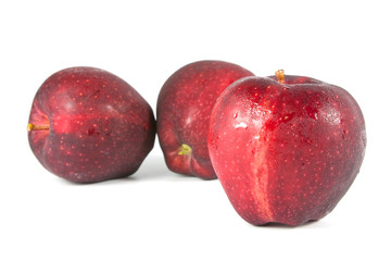 fresh red apple