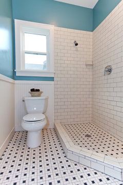 Blue bathroom with toilet and walk in shower