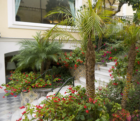 Beautiful Garden in Sorrento Italy