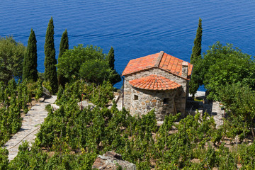 Weingut in der Toskana, Insel Elba
