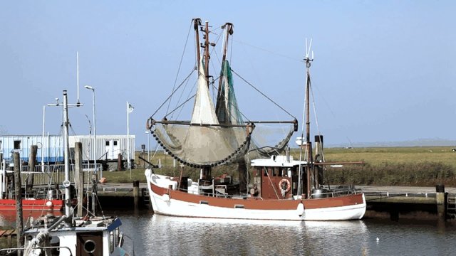 Kutterhafen in Spieka-Neufeld