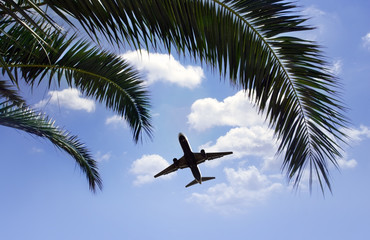 Fototapeta premium airplane flying over tropical palm trees