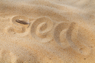 Fototapeta na wymiar Inscription of word sea on sand.