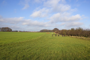 cross country equestrian course 2