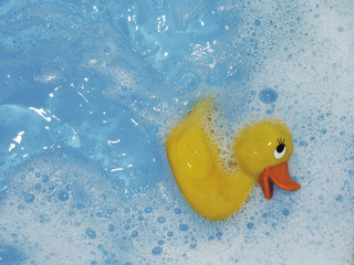 Toy rubber duck in bath with blue water