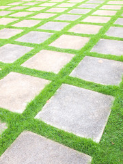 Beautiful grass tiles walk way in the garden