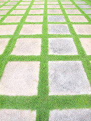Beautiful grass tiles walk way in the garden