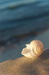Strandurlaub - Sonne, Sand und Meer