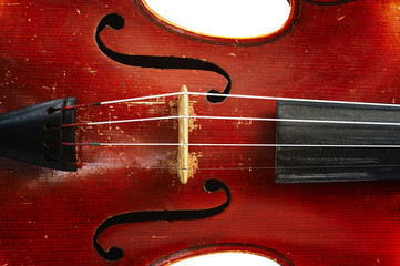 fiddle