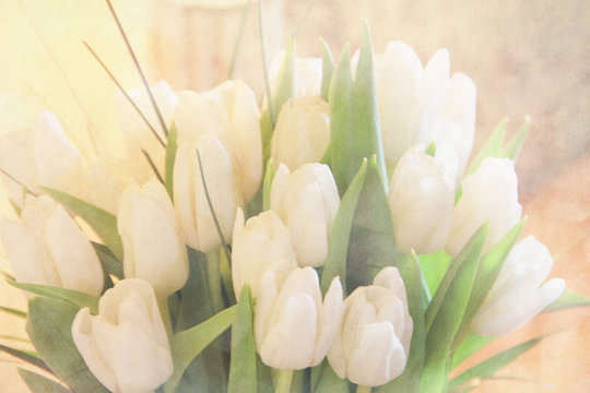 Old fashioned tulip background