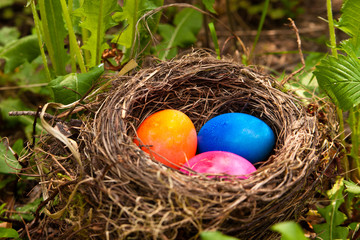 Osternest, easter eggs in a nest