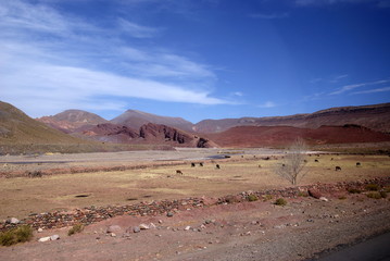 Desert, Uyuni, Bolivia
