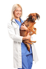 A smiling female veterinarian holding a puppy