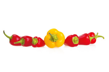 Colored pepper on a white background