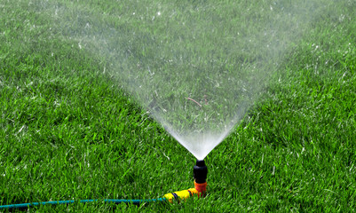 Lawn with Sprinkler
