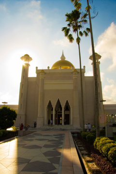 Ingresso mosche del brunei