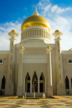 Ingresso mosche del brunei