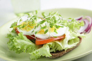 Fototapeta na wymiar Healthy sandwich