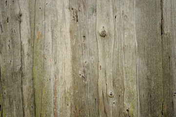 vintage wood texture
