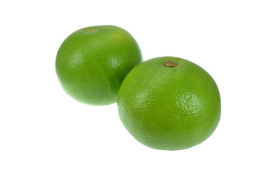 Green grapefruits on a white background