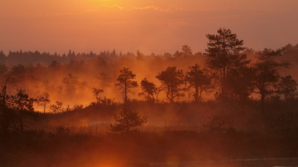 Landscape of Kakerdaja Bog, sunrise