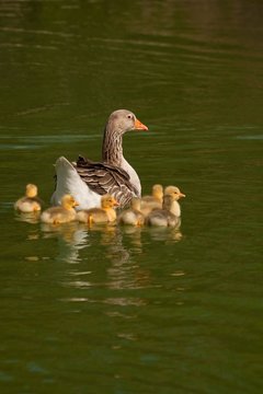 En Familia