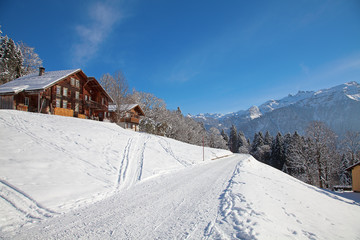 Winter in the alps