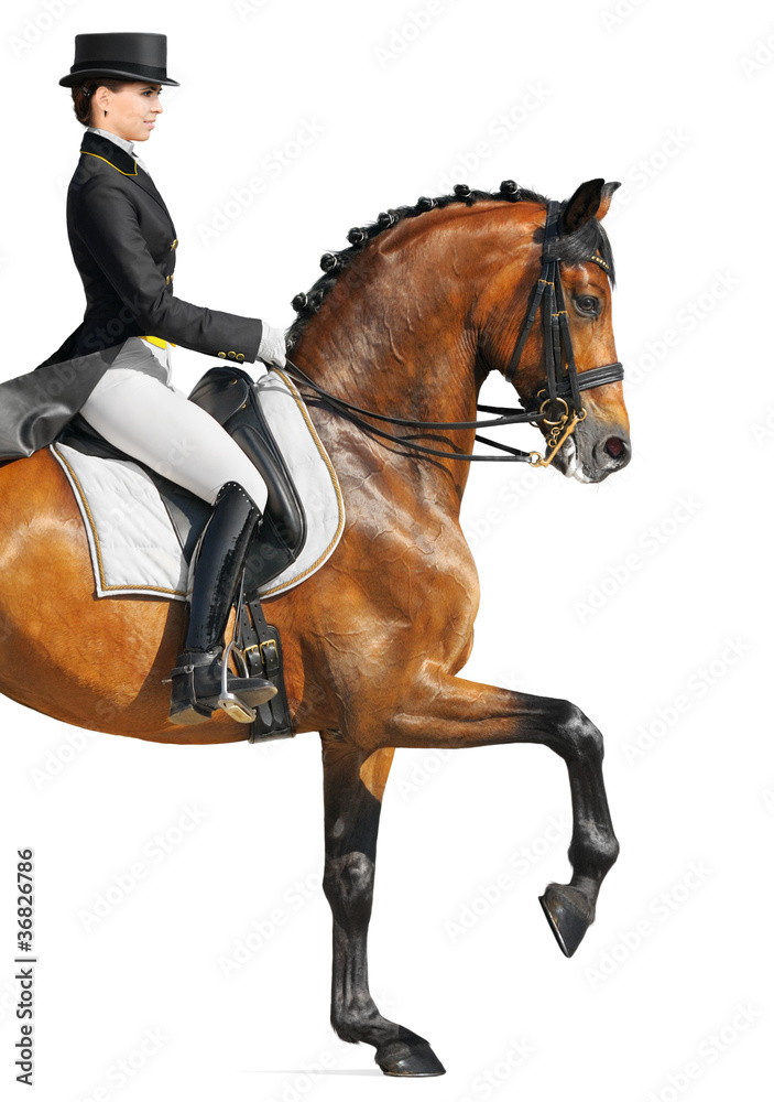 Canvas Prints equestrian sport - dressage