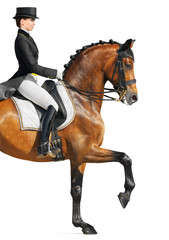 Equestrian sport - dressage