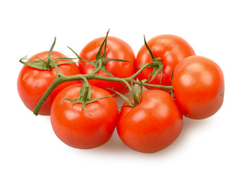 Tomatoes isolated