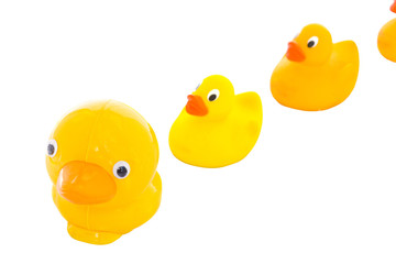 Toy duck family