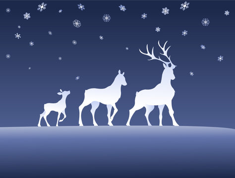 Rehe