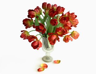Bouquet of Red Tulips in a Vase