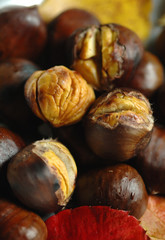 Castagne -- Chestnuts