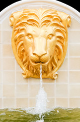 Golden lion head fountain