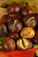 Castagne